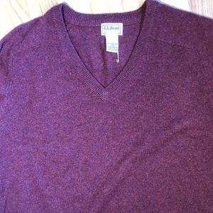 LL Bean v neck sweater.